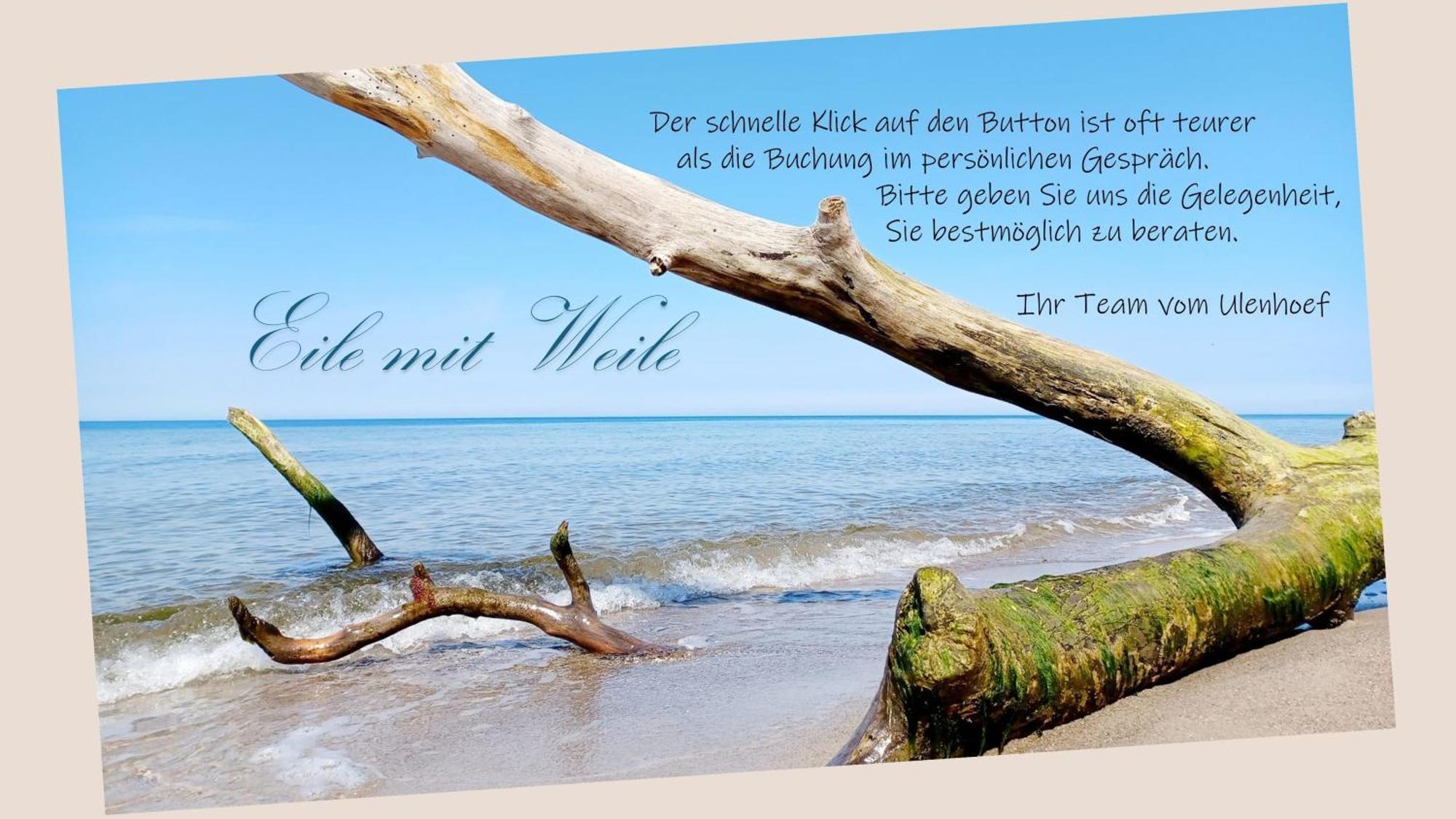 Fewo Weide - Ulenhoef Prerow Εξωτερικό φωτογραφία
